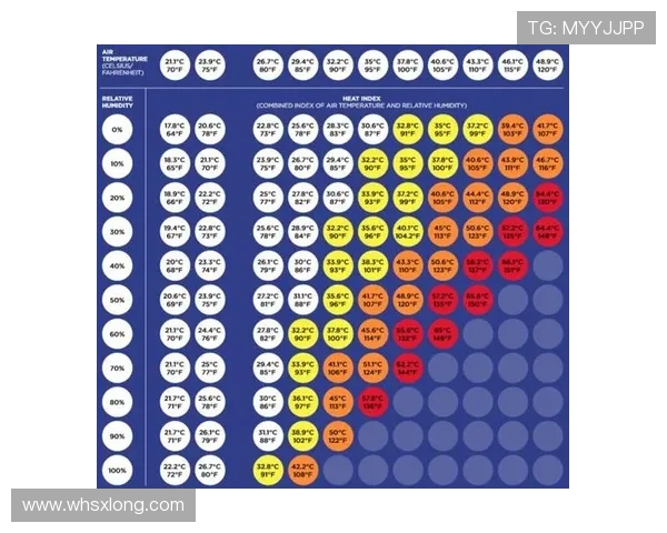 体育联赛赛制规则简介（体育联赛赛制规则简介范文）sports